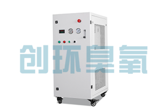 漯河石斑鱼养殖水质调控完整指南：臭氧发生器配置与操作步骤