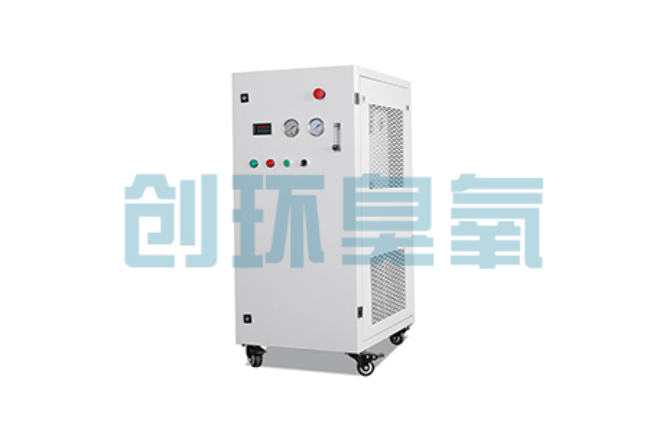 漯河比传统换水更高效？臭氧发生器在石斑鱼养殖中的水质净化原理解析