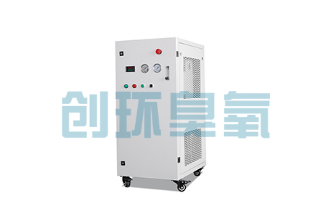 漯河比传统换水更高效？臭氧发生器在石斑鱼养殖中的水质净化原理解析